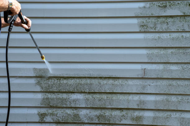 Best Same-Day Junk Removal Services  in Shelby, OH