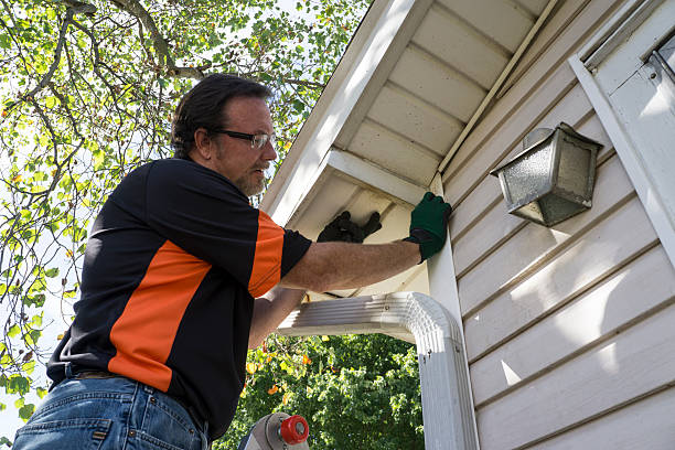 Best Shed Removal  in Shelby, OH